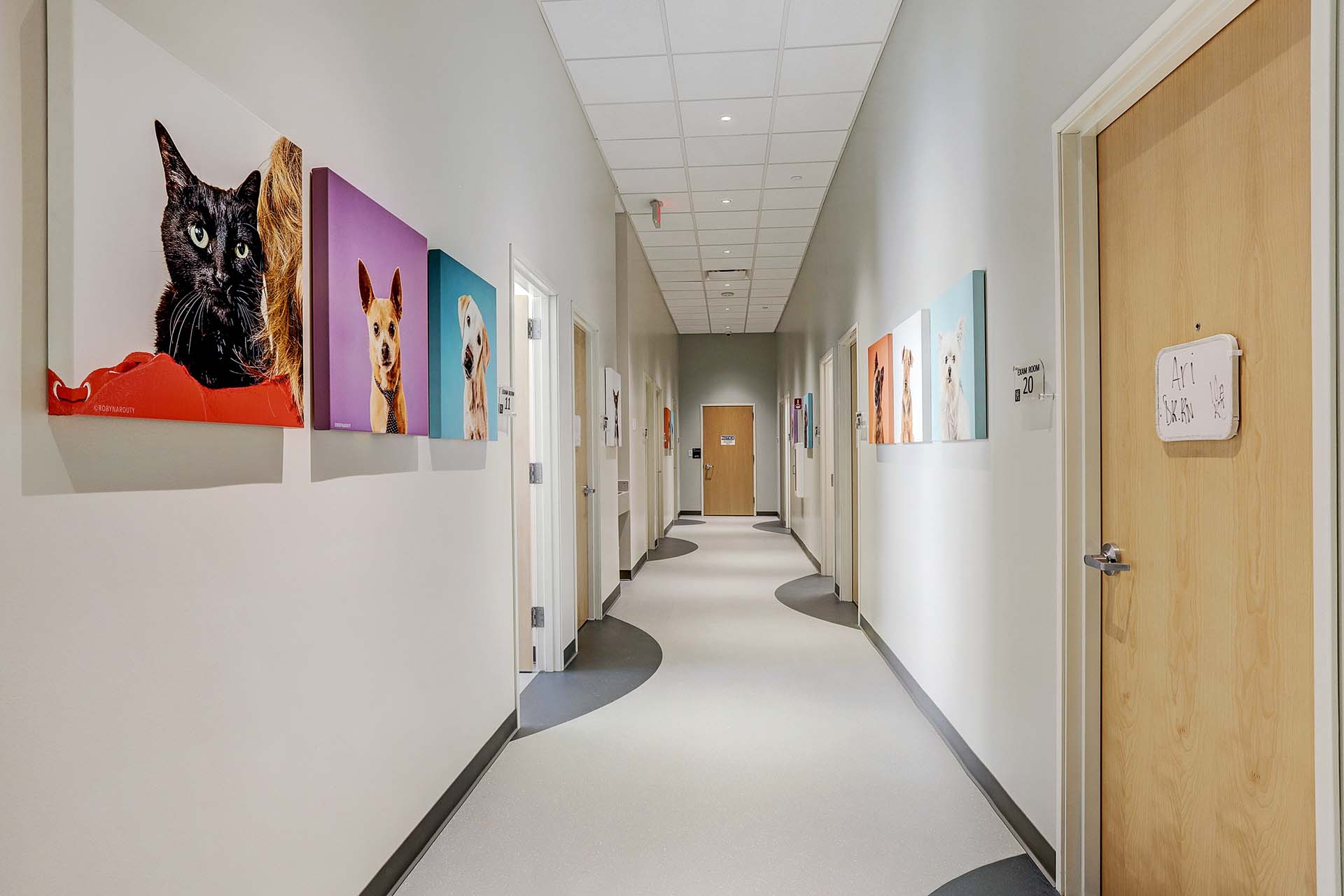 Altro flooring in the hallway of a veterinary clinic