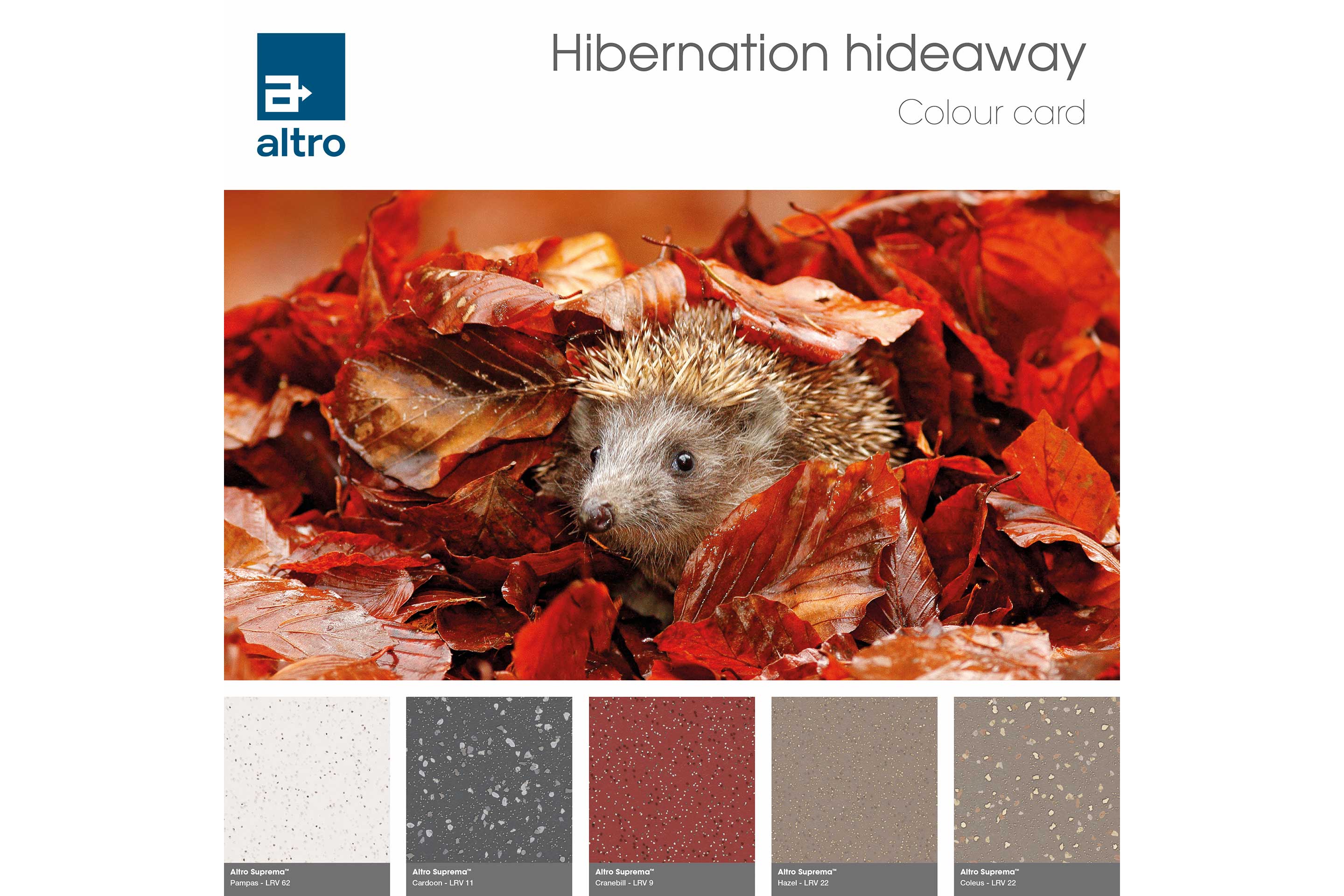 Altro Suprema Colour card - Autumn