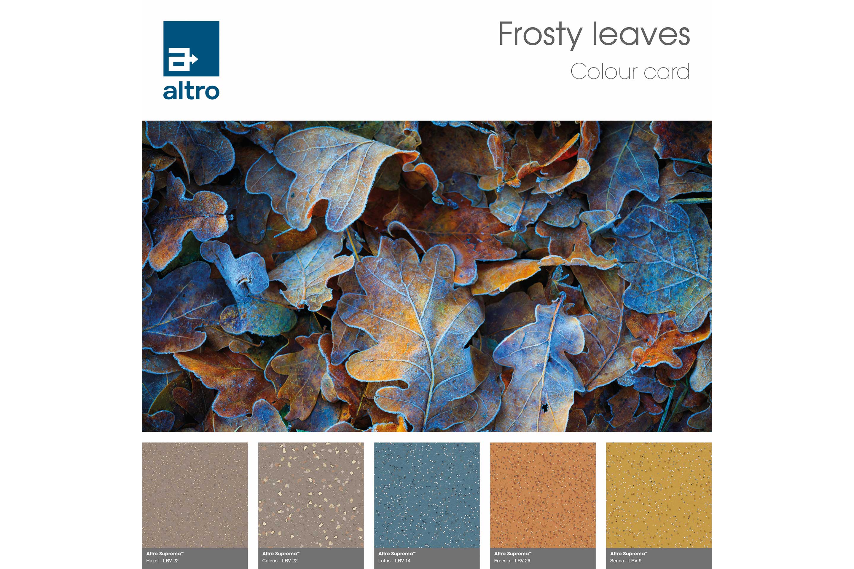 Altro Suprema Colour card - Winter