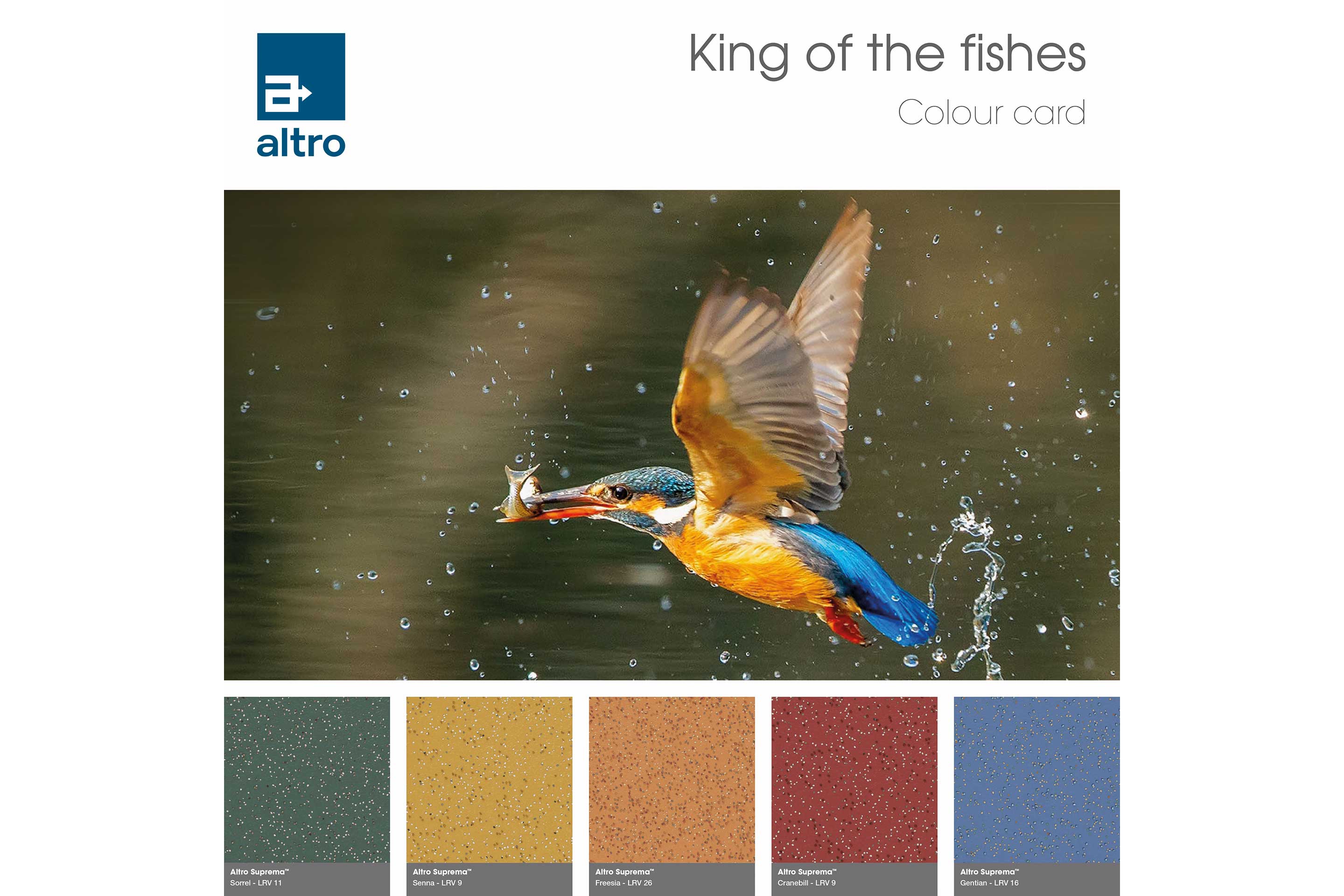 Altro Suprema Colour card - Animals