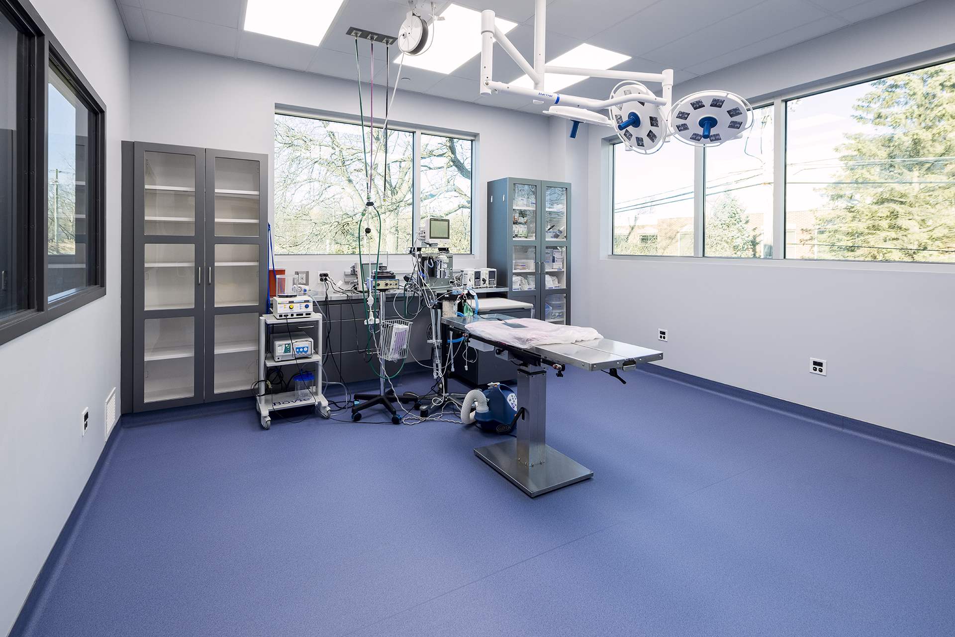 Veterinary Specialty Center | Veterinary Case Studies | Altro USA