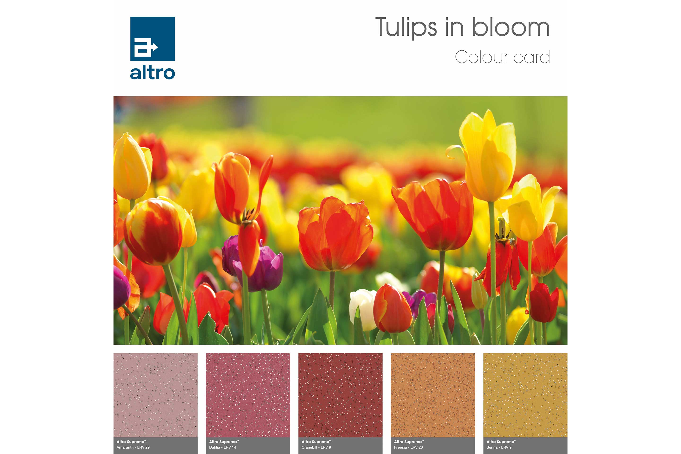 Altro Suprema Colour card - Flowers